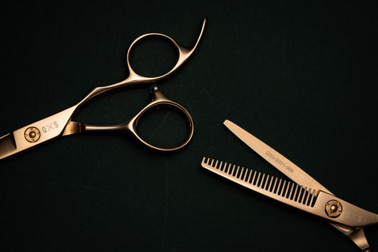 The Latest Trends and Developments in the Barbering Industry